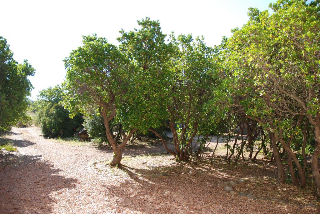 Residence Riviera Porto-Vecchio  Exterior photo
